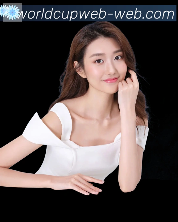 奖项证书